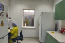 В азербайджанской армии проводится добровольная вакцинация от COVID-19 – Минобороны (ФОТО/ВИДЕО)