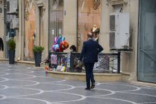 Baku celebrating International Women's Day (PHOTO)