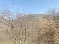 Представители азербайджанских СМИ побывали в Азыхской пещере (ФОТО)