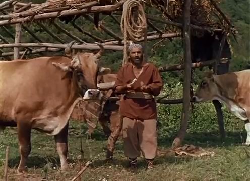 Спустя 40 лет раскрыты тайны фильма "Не бойся, я с тобой!" – кто был госпитализирован,  смерть от заражения, "нефть" из волчьей ягоды (ВИДЕО, ФОТО)