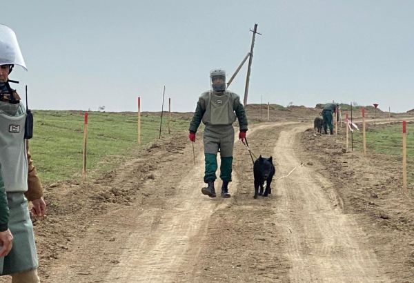 Азербайджан планирует подписать с Францией документ в связи с разминированием освобожденных территорий