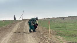 Территория в 200 тыс. кв. метров на дороге в город Шуша расчищена от мин  (ФОТО)