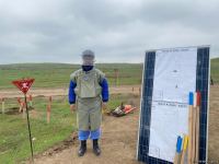 Территория в 200 тыс. кв. метров на дороге в город Шуша расчищена от мин  (ФОТО)