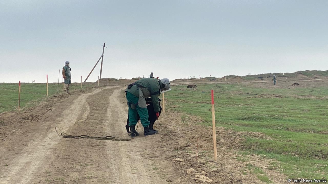 Территория в 200 тыс. кв. метров на дороге в город Шуша расчищена от мин  (ФОТО)