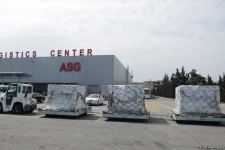 В Азербайджан доставлено еще 500 тыс. доз вакцины от COVID-19 (ФОТО/ВИДЕО)