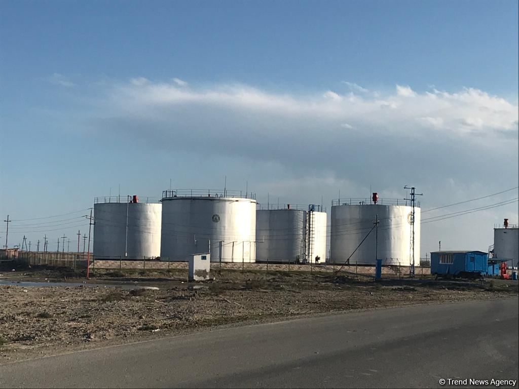 Оксфордский институт спрогнозировал рост мирового предложения нефти на 2024-2025 гг.