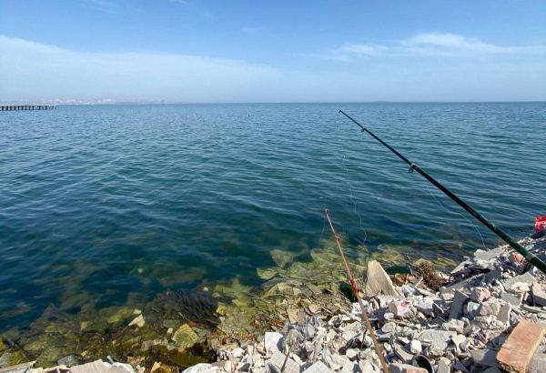 Kyrgyzstan proposes three-year pause on commercial fishing in major reservoirs