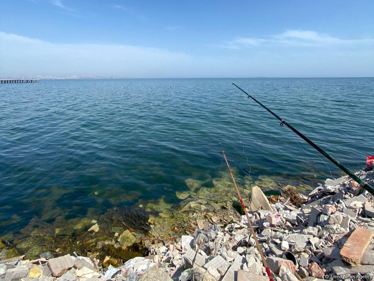 Kyrgyzstan proposes three-year pause on commercial fishing in major reservoirs