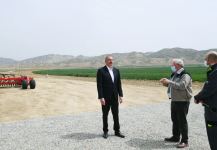 Президент Ильхам Алиев принял участие в презентации агропарка ООО Aqro Dairy в Гаджигабуле (ФОТО)