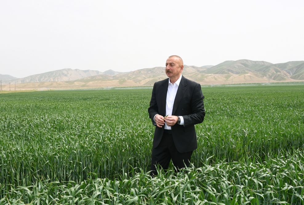 Президент Ильхам Алиев принял участие в презентации агропарка ООО Aqro Dairy в Гаджигабуле (ФОТО)