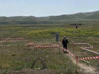 Суговушан и Талышкенд очищаются от мин для строительства ЛЭП (ФОТО)