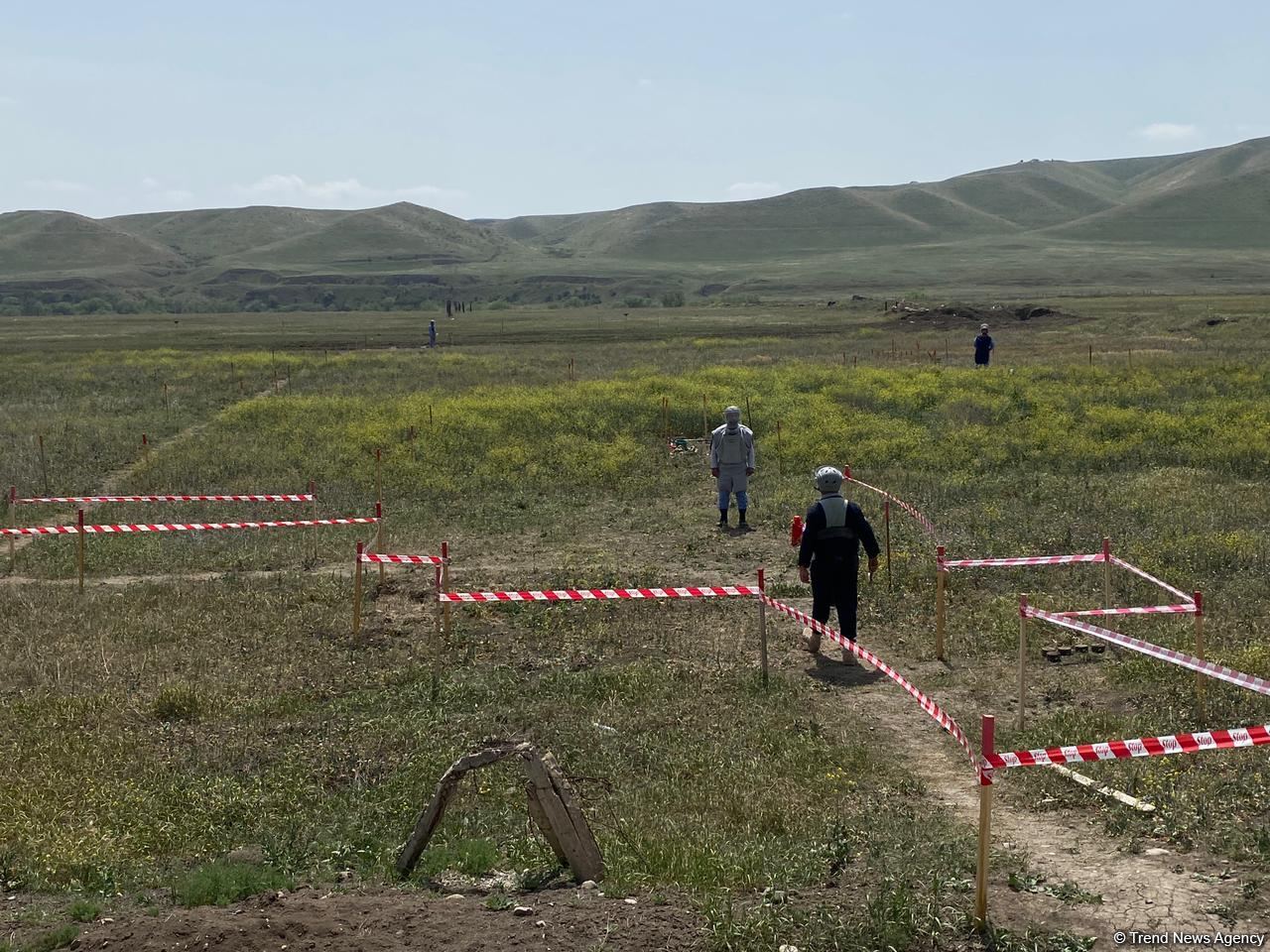 Суговушан и Талышкенд очищаются от мин для строительства ЛЭП (ФОТО)
