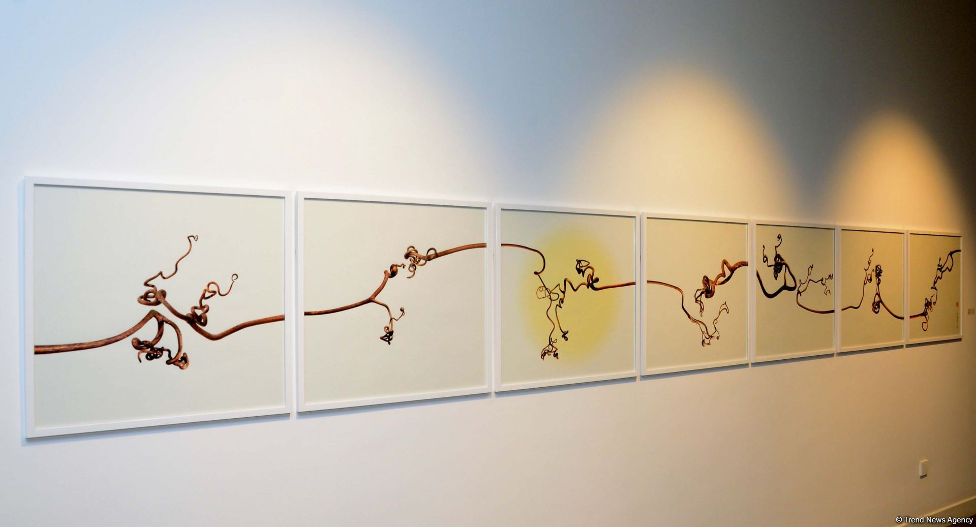 Gazelli Art House presents Graphic Storytelling exhibition (PHOTO)