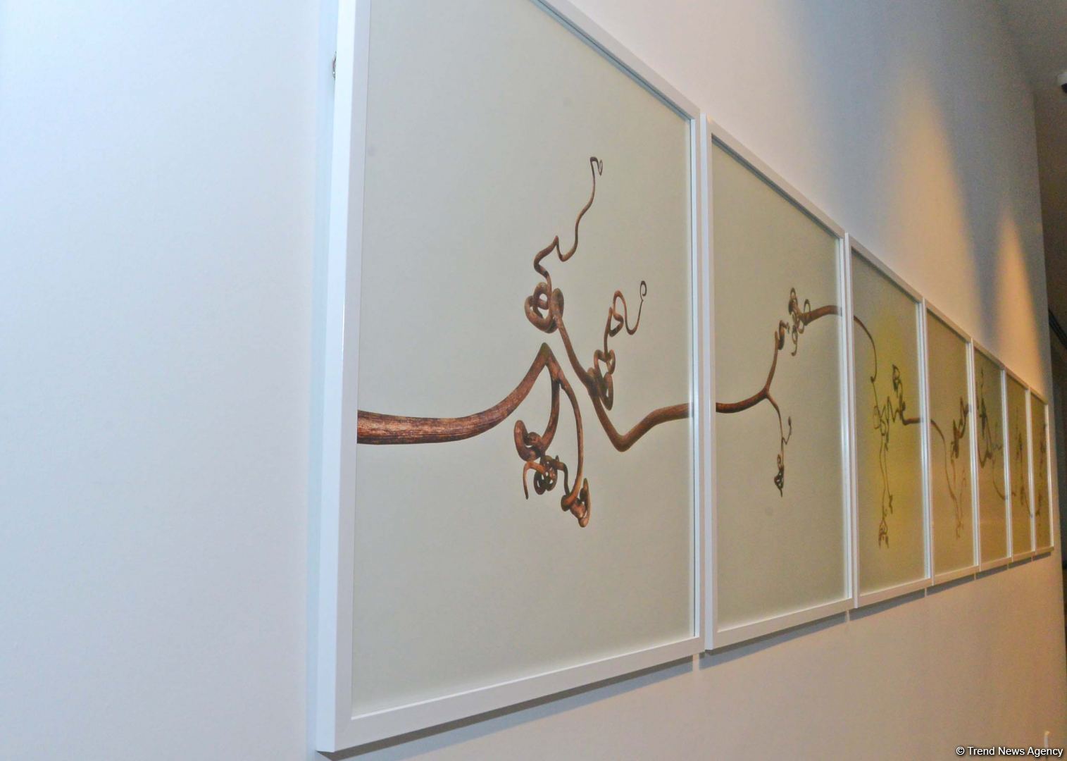 Gazelli Art House presents Graphic Storytelling exhibition (PHOTO)