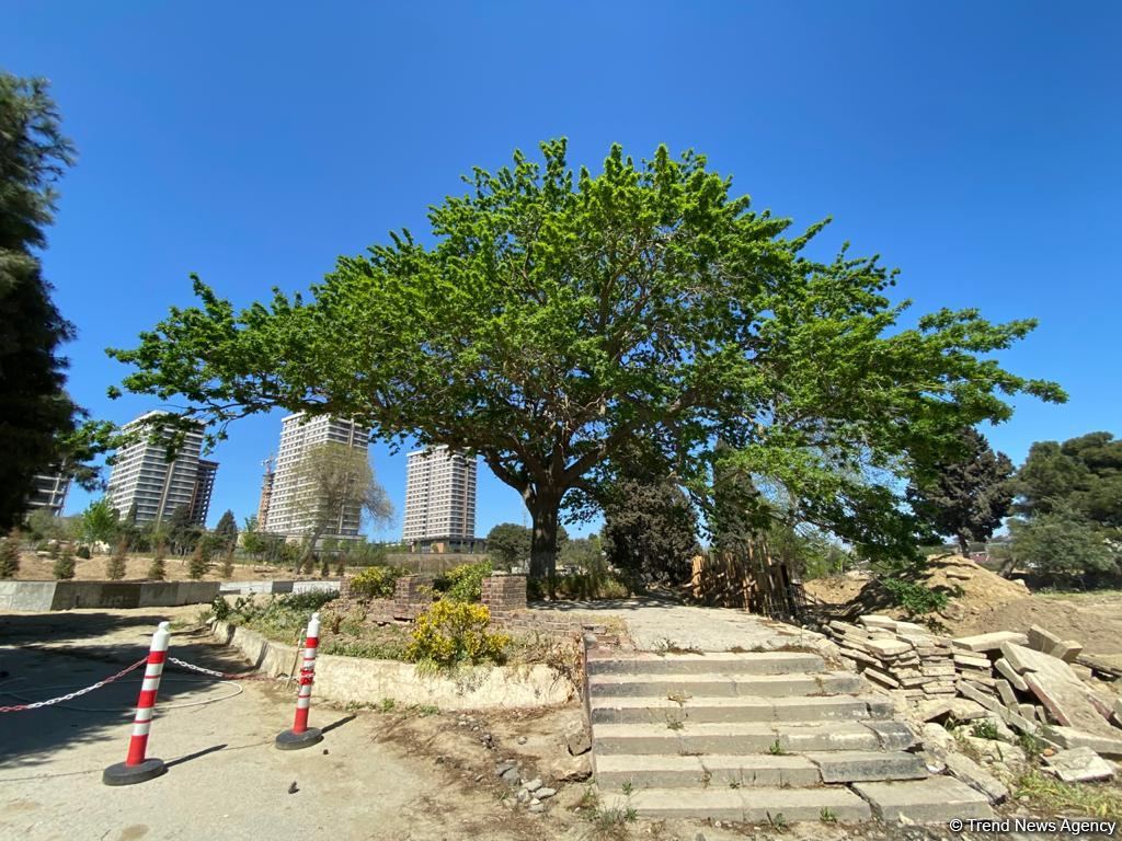 Baku's famous 'Luna Park' being restored - Trend TV (PHOTO/VIDEO)