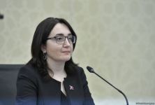 Оперативный штаб при Кабмине Азербайджана провел брифинг (ВИДЕО)