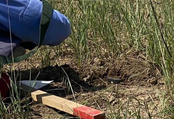 Azerbaijan’s ANAMA reports results weekly mine clearance operations