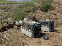 8-километровый участок автодороги Физули-Ахмедбейли очищен от мин - Агентство (ФОТО)