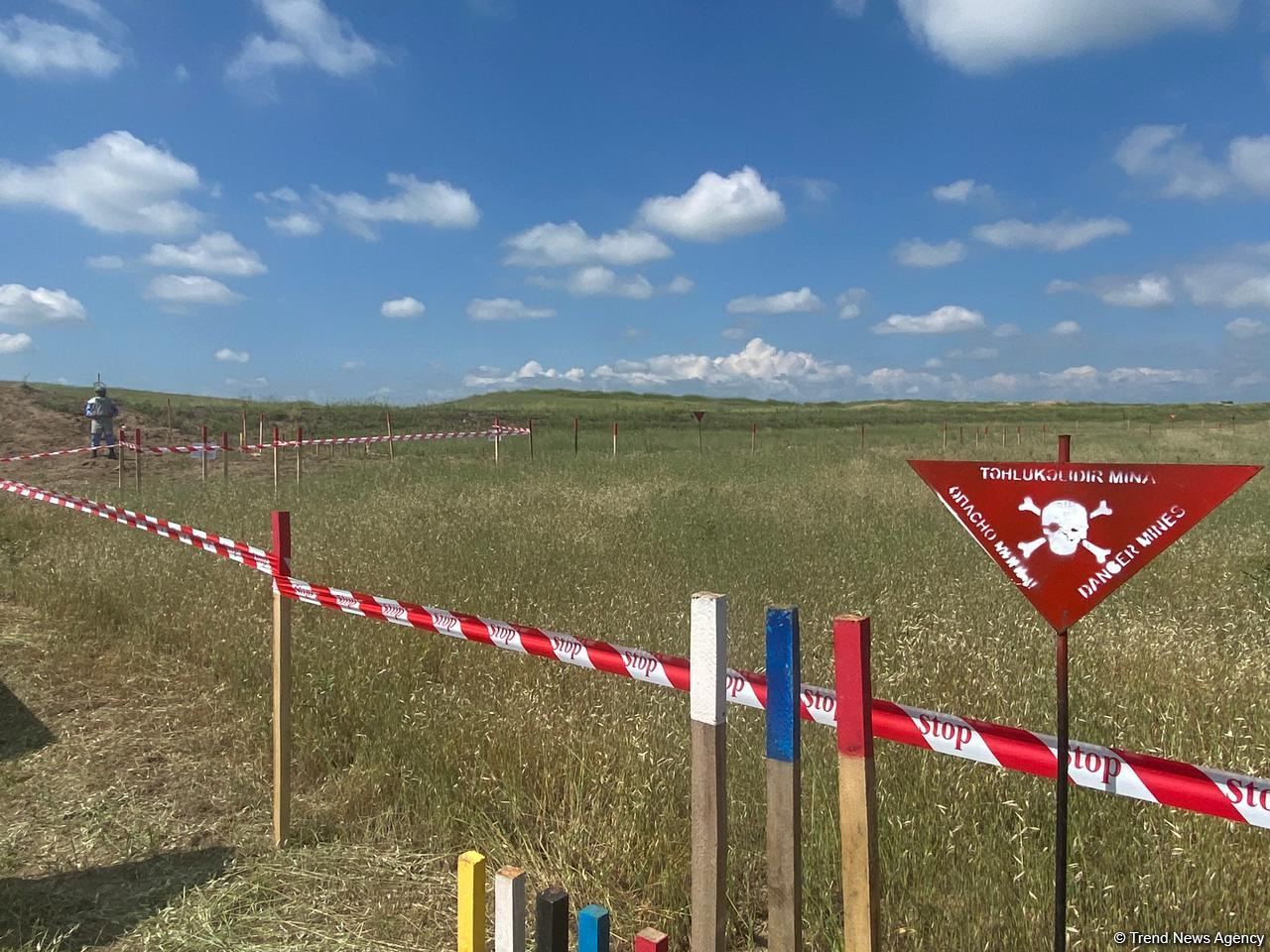 8-километровый участок автодороги Физули-Ахмедбейли очищен от мин - Агентство (ФОТО)