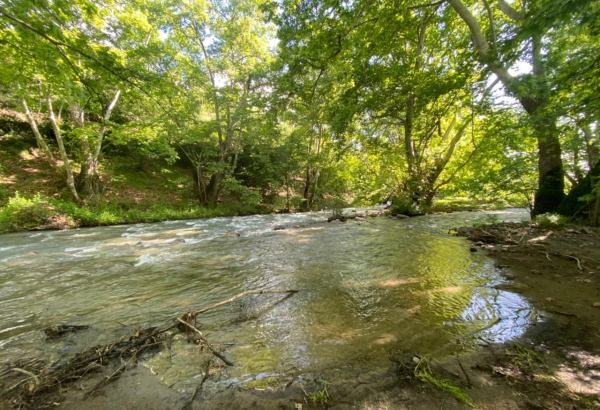 Azerbaijan to set up national park in liberated lands