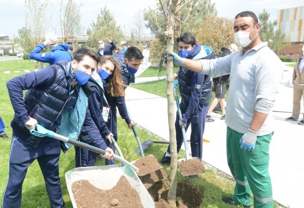 Tree planting held in Baku on eve of World Aerobic Gymnastics Championship (PHOTO)