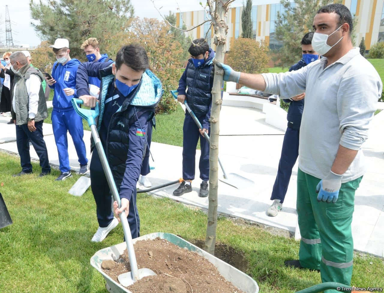 Tree planting held in Baku on eve of World Aerobic Gymnastics Championship (PHOTO)