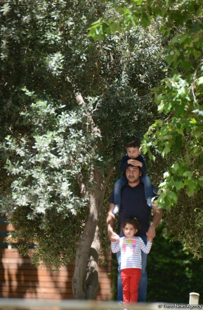 Practice Sessions of F1 Azerbaijan Grand Prix kick off in Baku (PHOTO)