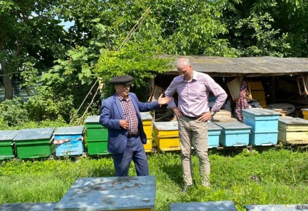 EU supports dev't of micro-entrepreneurship in Azerbaijan's districts (PHOTO)