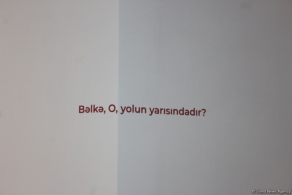 YARAT представил новую персональную выставку Рашада Алакбарова "Ты сам и есть!" (ФОТО)