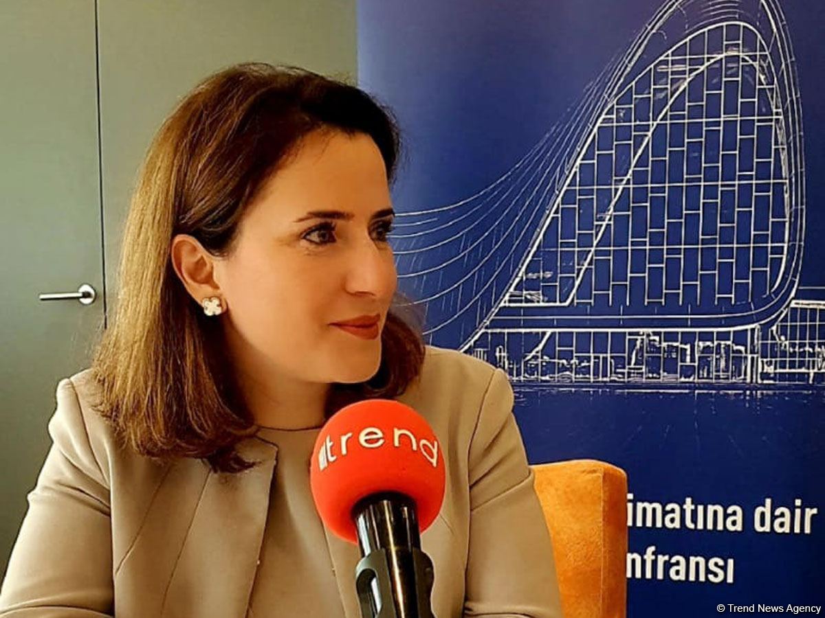 AmCham заинтересована в участии в процессе восстановления Карабаха - вице-президент