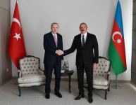 Состоялась встреча Президентов Азербайджана и Турции один на один (ФОТО/ВИДЕО)