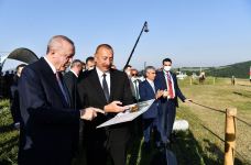 Президенту Турции Реджепу Тайипу Эрдогану подарили карабахского скакуна по кличке «Зафар» и композицию «Харыбюльбюль» (ФОТО)