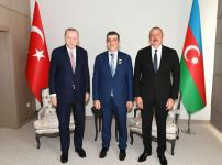 Состоялась встреча Президентов Азербайджана и Турции один на один (ФОТО/ВИДЕО)