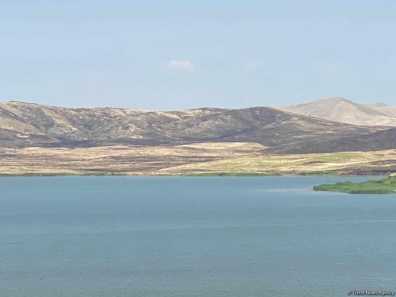 Организована поездка журналистов в Физулинский район (ФОТО)