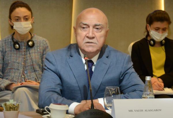 Azerbaijan's Alat FEZ eyes receiving first investors, businessmen in mid-2022