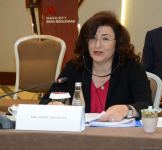 Azerbaijan, Iraq have potential for greater development of economic ties - minister (PHOTO)