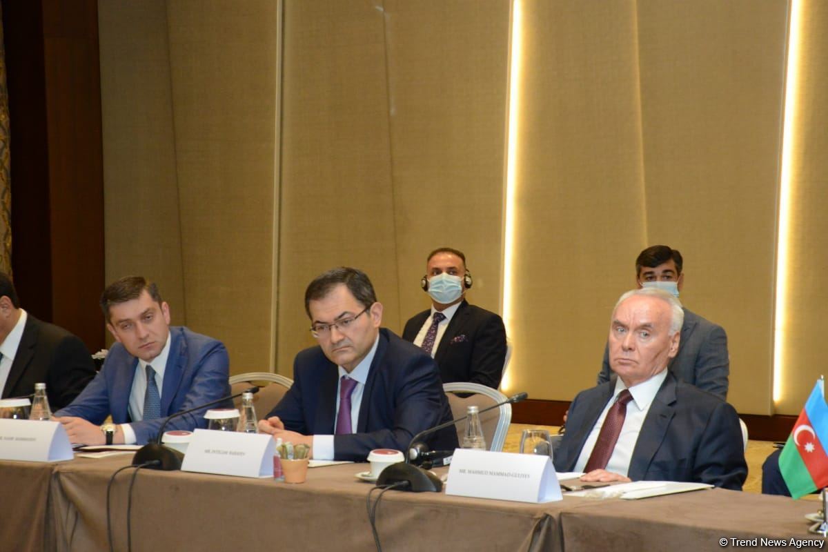 Azerbaijan, Iraq have potential for greater development of economic ties - minister (PHOTO)