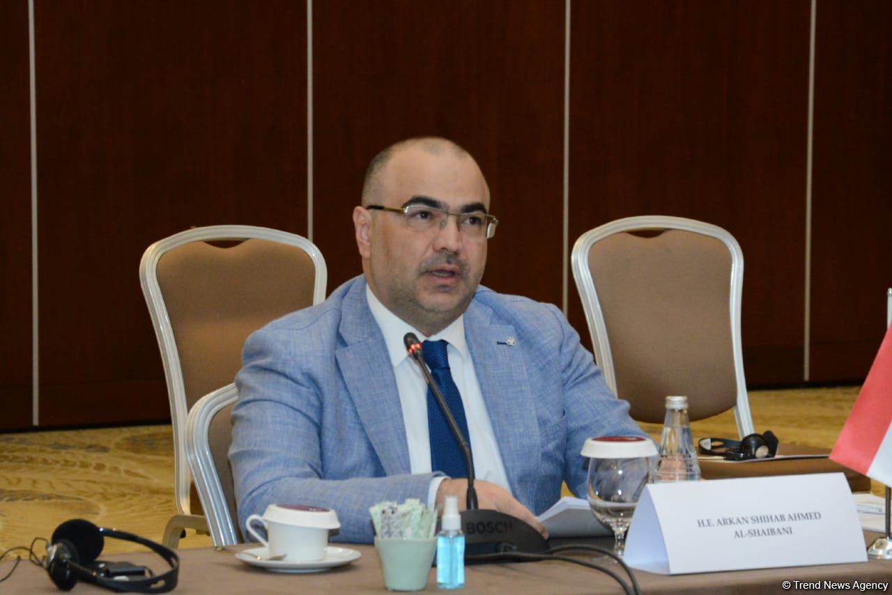 Azerbaijan, Iraq have potential for greater development of economic ties - minister (PHOTO)