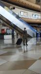 Группа азербайджанских пожарных, отправленных в Турцию для борьбы с лесными пожарами, вернулась на родину (ФОТО)