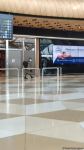 Группа азербайджанских пожарных, отправленных в Турцию для борьбы с лесными пожарами, вернулась на родину (ФОТО)