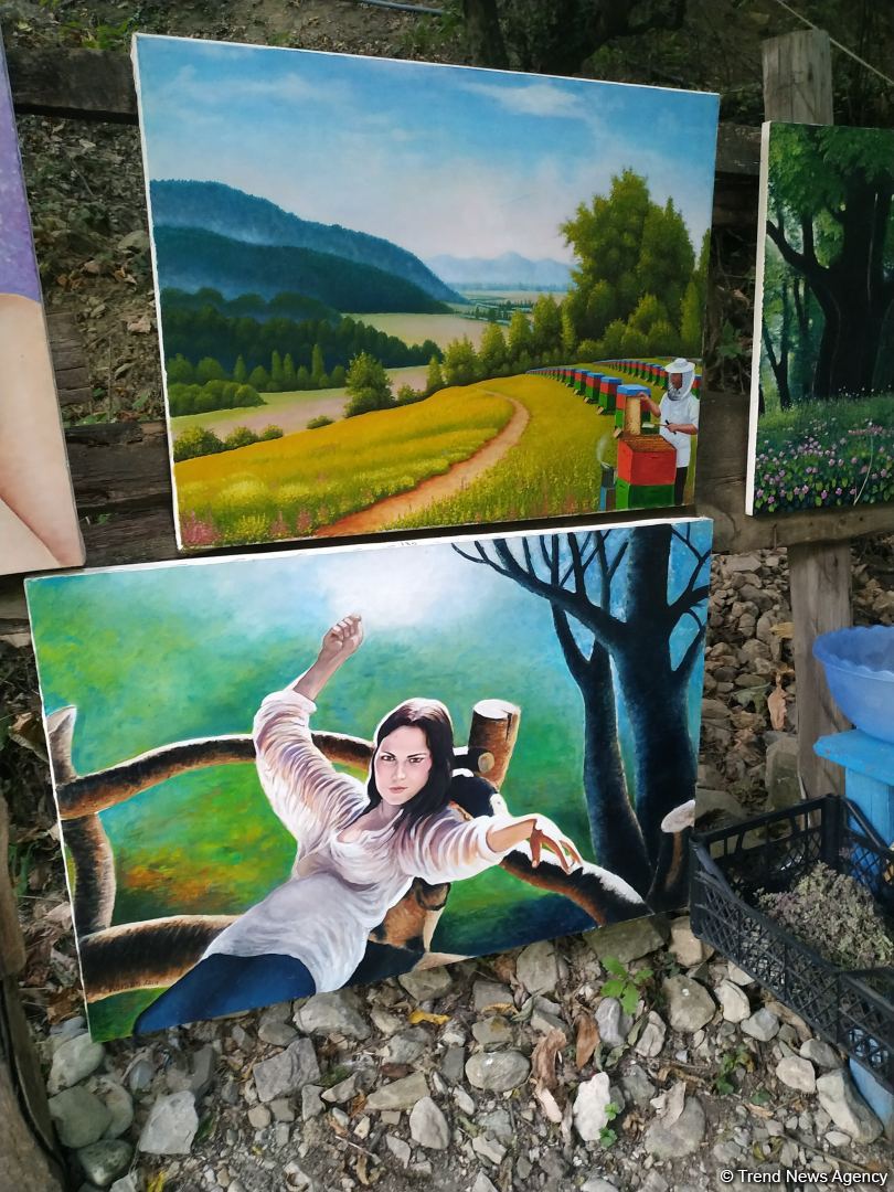 День в селе не променяю на год комфорта в городе. На пути к живописному водопаду Мамырлы - экспозиция Ровшана Ширинова (ВИДЕО, ФОТО)