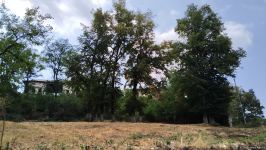 Media reps of Turkic Council members, observer countries visiting Azerbaijan's Shusha (PHOTO)