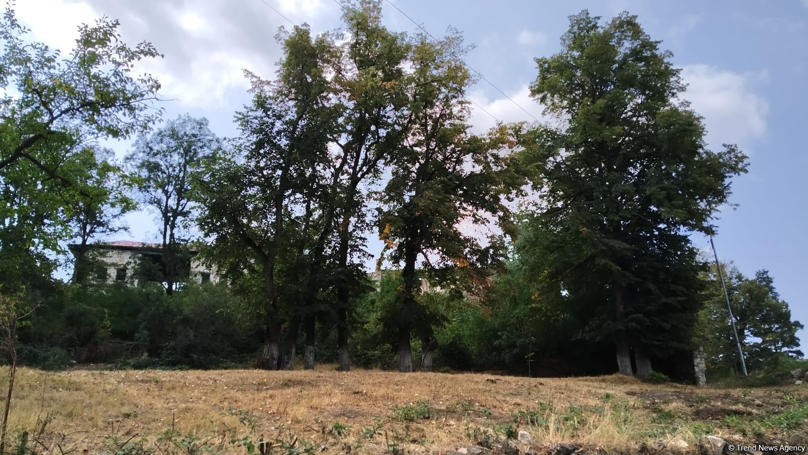 Media reps of Turkic Council members, observer countries visiting Azerbaijan's Shusha (PHOTO)