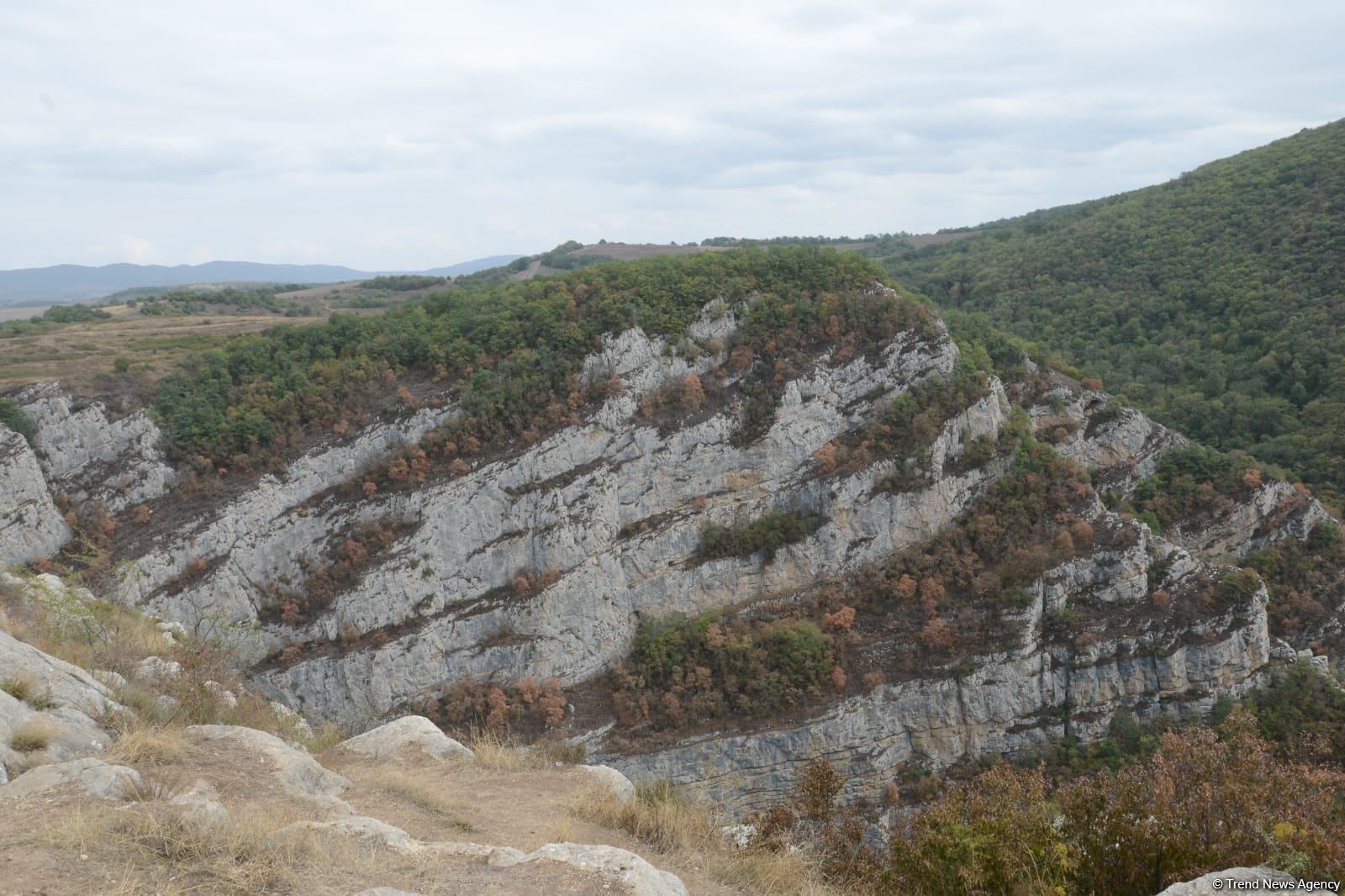 NGO representatives visit Azerbaijani Shusha (PHOTO)