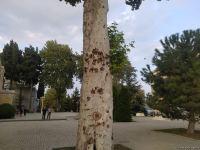 Делегация Ассоциации омбудсменов ОИС совершила поездку в Тертер (ФОТО)