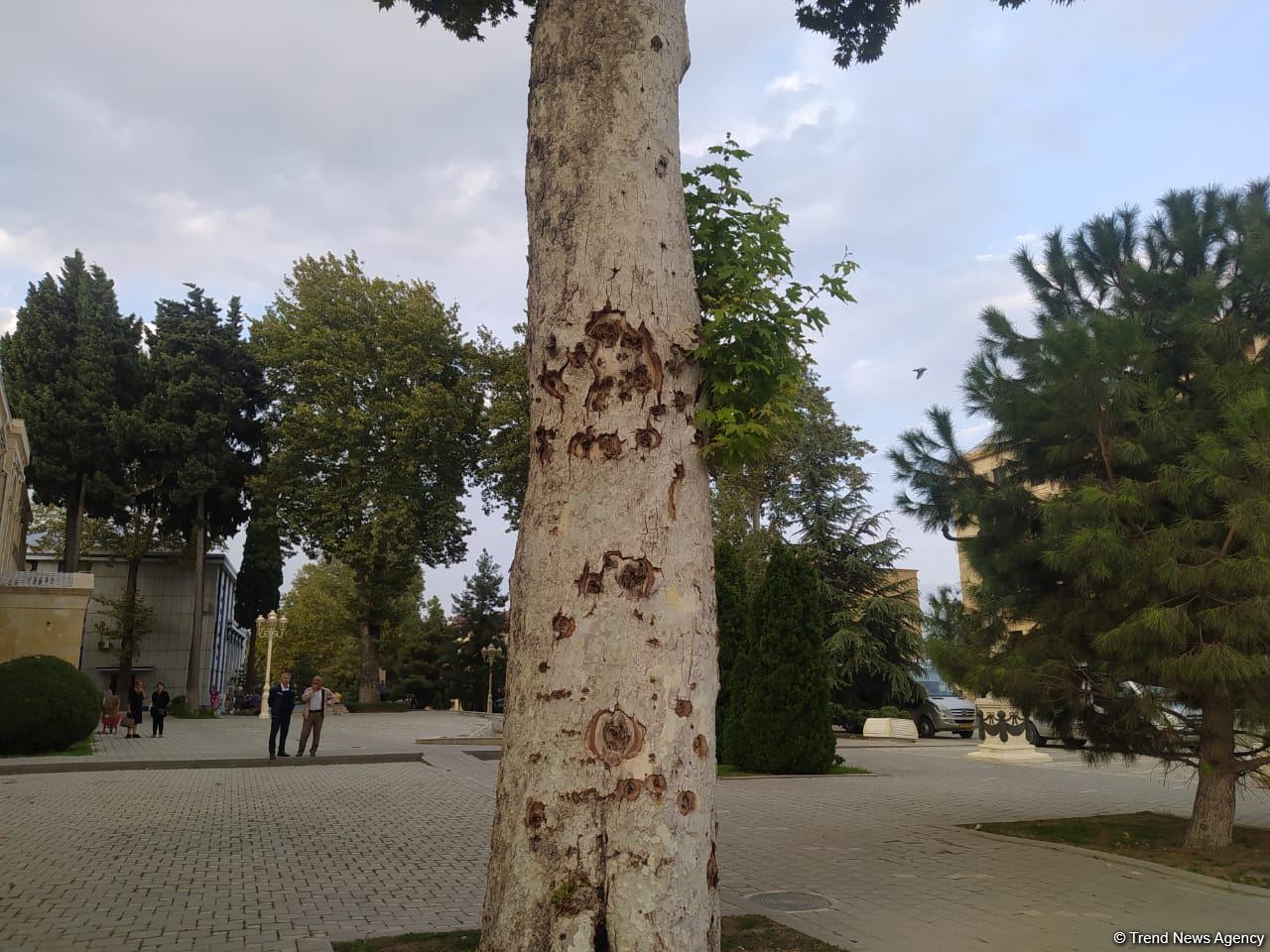 Делегация Ассоциации омбудсменов ОИС совершила поездку в Тертер (ФОТО)
