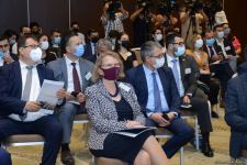 В Азербайджане утверждено свыше 1,9 тыс. заявок на получение поддержки для бизнеса (ФОТО)