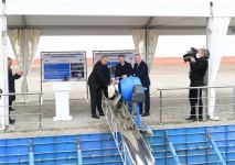 Azerbaijani president lays foundation for joint service center of KAMAZ  and Ganja Automobile Plant in Jabrayil (PHOTO)