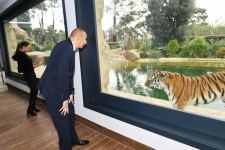 President Ilham Aliyev and First Lady Mehriban Aliyeva attend inauguration of Baku Zoological Park after reconstruction (PHOTO)