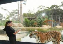 President Ilham Aliyev and First Lady Mehriban Aliyeva attend inauguration of Baku Zoological Park after reconstruction (PHOTO)